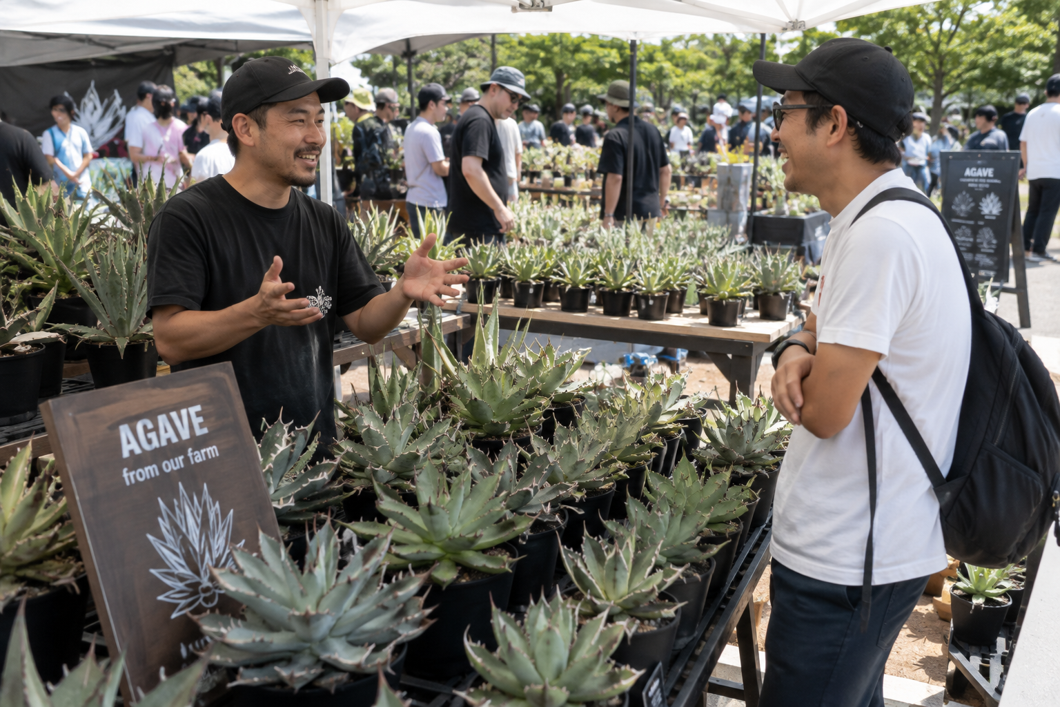 Agave